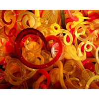 Calamari Colori