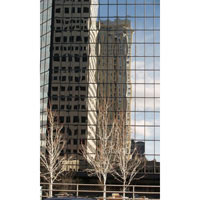 Building Reflection