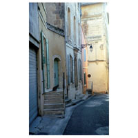 Arles Alley Cat