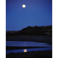 Moonrise