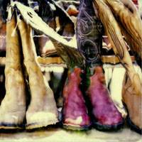 Cowboy Boots