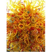 Calamari Colori