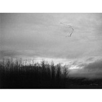 Flight of Geese