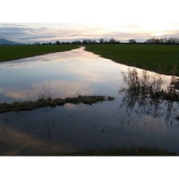 Waterway After a Rain
