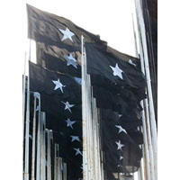 Black Flags