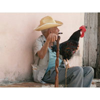Man Holding Rooster